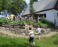 Rübenau